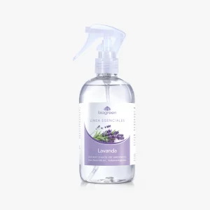 Lavanda